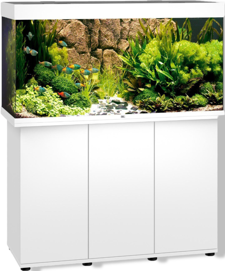 https://cdn.warentuin.nl/media/catalog/product/S/C/SCAN4022573501346_01_gebr_de_boon_juwel_meubel_bouwpakket_sbx_rio_079f.png