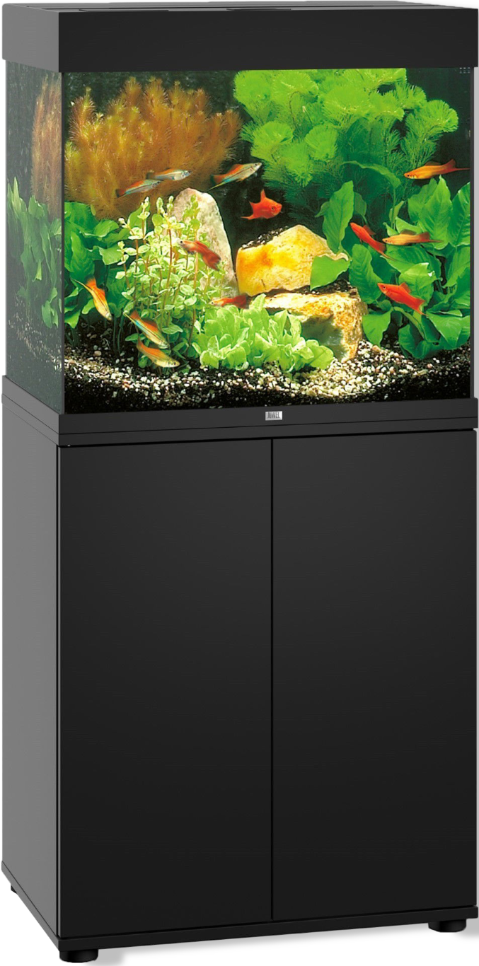 https://cdn.warentuin.nl/media/catalog/product/S/C/SCAN4022573502138_01_gebr_de_boon_juwel_meubel_bouwpakket_sbx_lid_8a1d.png