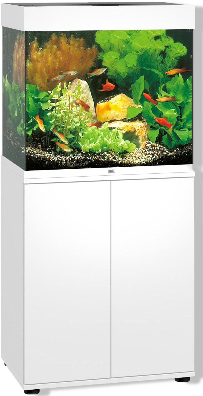 https://cdn.warentuin.nl/media/catalog/product/S/C/SCAN4022573502145_01_gebr_de_boon_juwel_meubel_bouwpakket_sbx_lid_b1b4.png