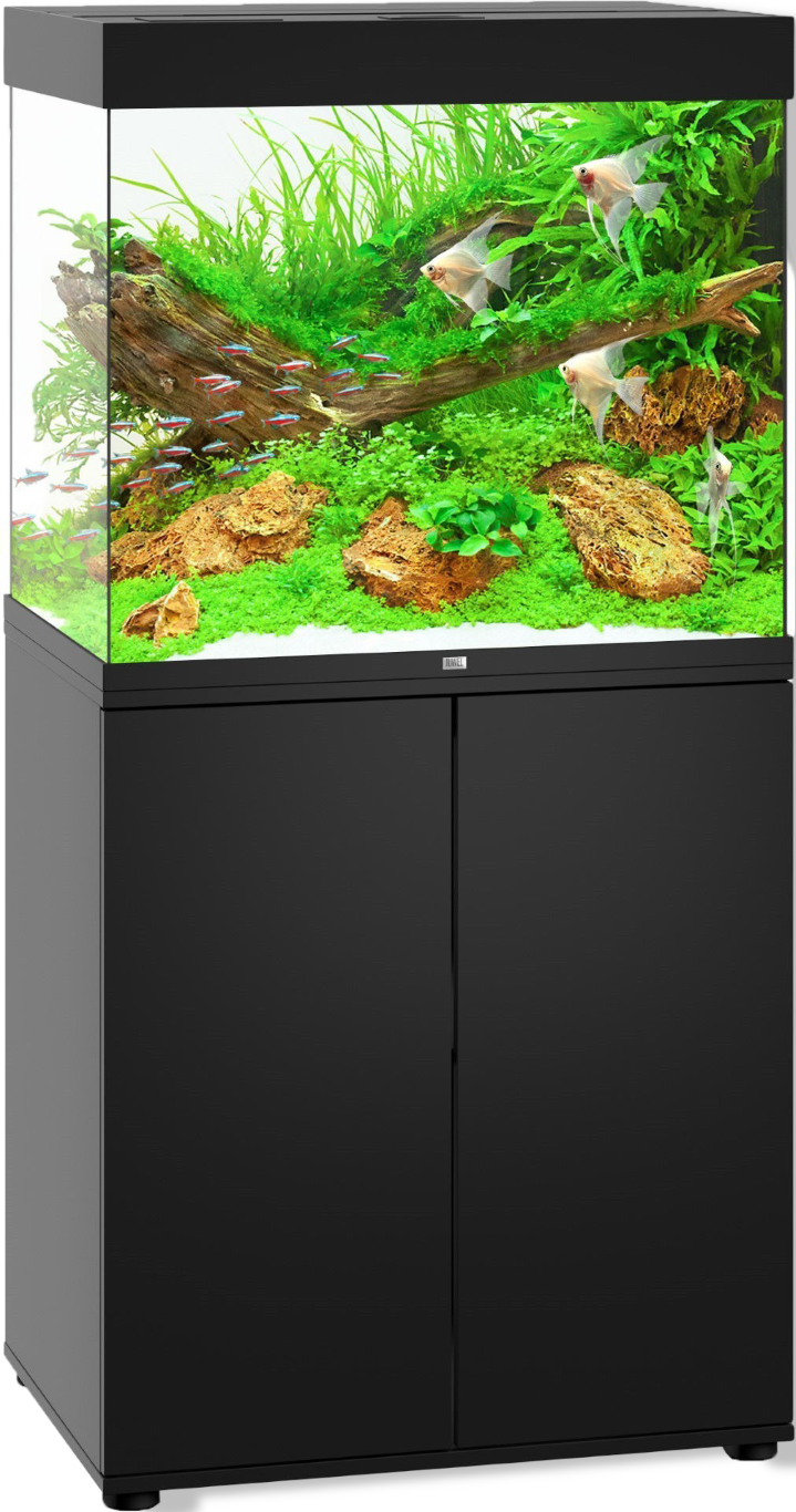 https://cdn.warentuin.nl/media/catalog/product/S/C/SCAN4022573502237_01_gebr_de_boon_juwel_meubel_bouwpakket_sbx_lid_ba8e.png