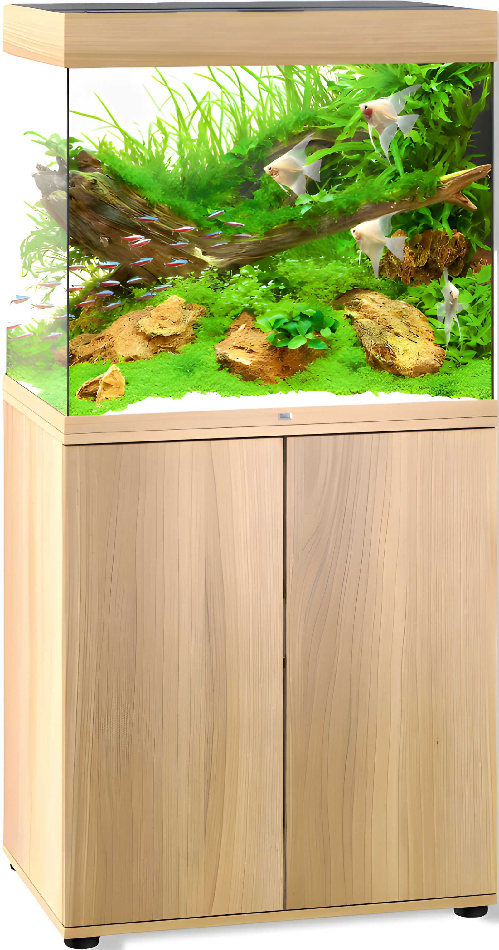 https://cdn.warentuin.nl/media/catalog/product/S/C/SCAN4022573502282_01_gebr_de_boon_juwel_meubel_bouwpakket_sbx_lid_ea74.jpg