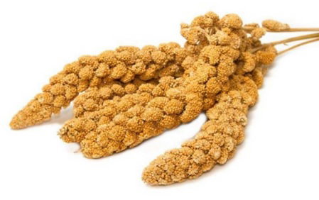 https://cdn.warentuin.nl/media/catalog/product/S/C/SCAN4024344005046_vogelsnack_trosgierst_geel_250g_gebr_de_bo_bec5.jpg