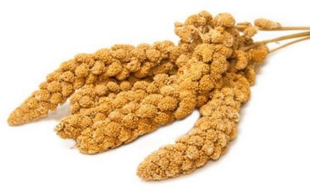 https://cdn.warentuin.nl/media/catalog/product/S/C/SCAN4024344005077_vogelsnack_trosgierst_rood_250g_gebr_de_bo_ac4a.jpg