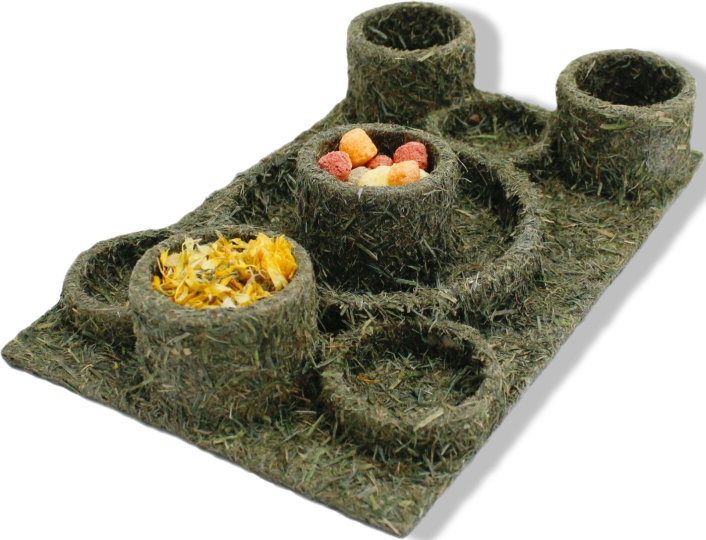 https://cdn.warentuin.nl/media/catalog/product/S/C/SCAN4024344197376_01_gebr_de_boon_jr_farm_knaagdier_fun_park_275__4cf3.jpg