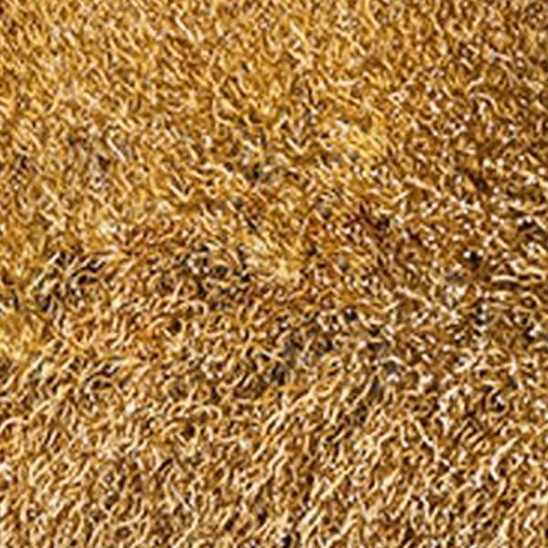 https://cdn.warentuin.nl/media/catalog/product/S/C/SCAN4046436033416_01_borstel_steen_pro_gloria_meuwissen_agro_a201.jpg