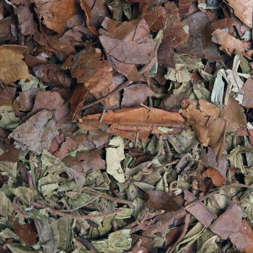 https://cdn.warentuin.nl/media/catalog/product/S/C/SCAN5027407018501_mulch_bladstrooisel_500_gram_habistat_2e0a.jpg