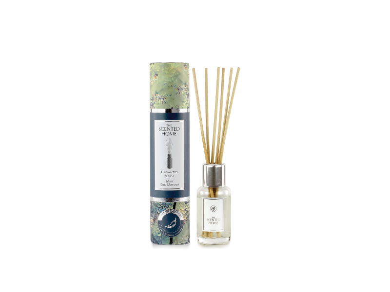 https://cdn.warentuin.nl/media/catalog/product/S/C/SCAN5033271035520_ashleigh_burwood_woonaccesoires_geurverspreider_enchanted_for_6f3c.jpg