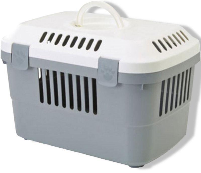 https://cdn.warentuin.nl/media/catalog/product/S/C/SCAN5411388322717_01_gebr_de_boon_savic_plastic_reismand_discover_2c4a.jpg