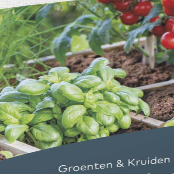 https://cdn.warentuin.nl/media/catalog/product/S/C/SCAN5413448144727_01_dcm_potgrond_groenten_kruiden_10_l_dcm_065c.jpg