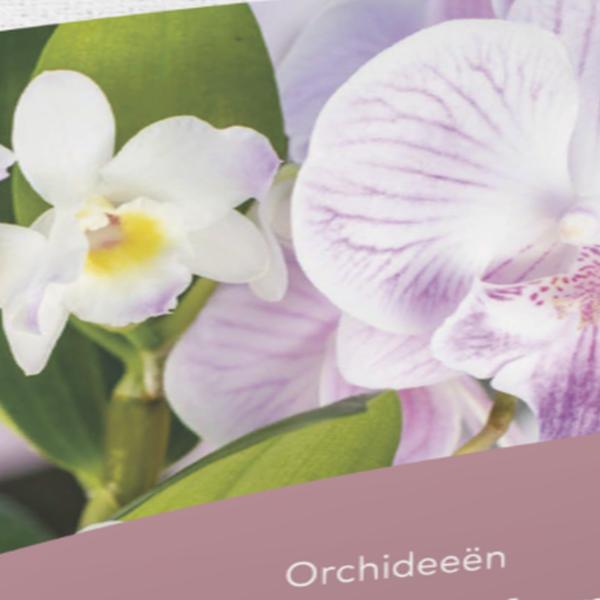 https://cdn.warentuin.nl/media/catalog/product/S/C/SCAN5413448144857_01_dcm_potgrond_orchideeen_10_l_dcm_8294.jpg