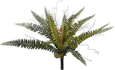 https://cdn.warentuin.nl/media/catalog/product/S/C/SCAN5413664174836_boston_varen_h43_cm_groen_pure_a067.jpg