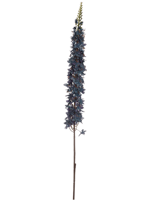 https://cdn.warentuin.nl/media/catalog/product/S/C/SCAN5413664198184_jasaco_zijde_planten_eremurus_110_cm_blue_kunst_fe74.png