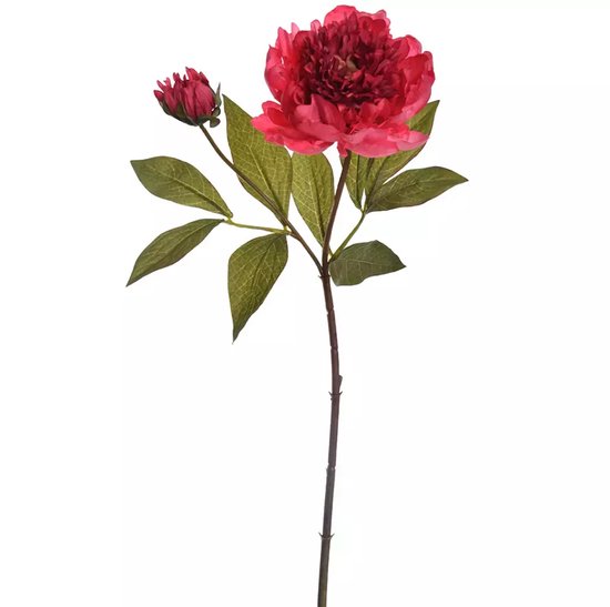 https://cdn.warentuin.nl/media/catalog/product/S/C/SCAN5413664203468_pure_peony_spray_66_cm_beauty_ceda.jpg
