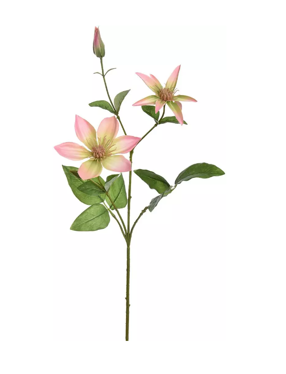 https://cdn.warentuin.nl/media/catalog/product/S/C/SCAN5413664245765_jasaco_zijde_planten_clematis_spray_65_cm_pink__a1ac.png