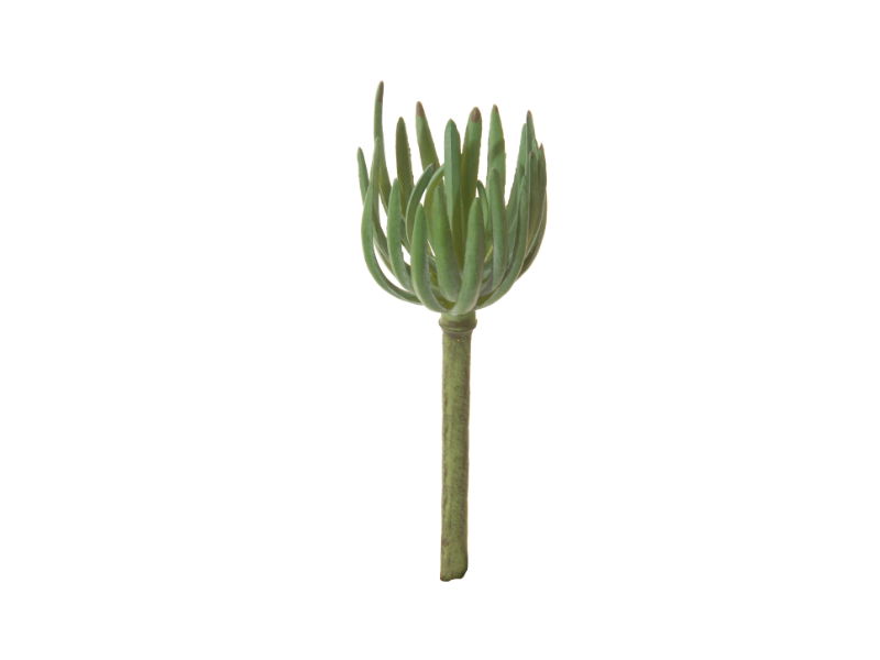 https://cdn.warentuin.nl/media/catalog/product/S/C/SCAN5414088268682_louis_maes_zijde_nepbloem_agave_l21_cm_groen_zijde_nepbloem_7361.jpg