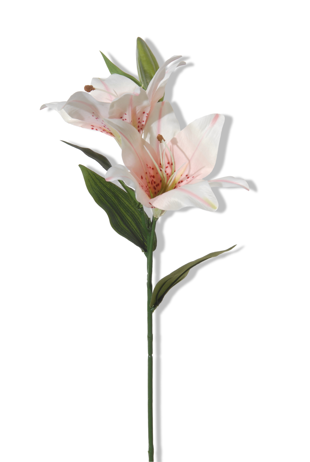 https://cdn.warentuin.nl/media/catalog/product/S/C/SCAN5414088278155_01_louis_maes_lelie_l66cm_licht_roze_kunstbloem_da68.png