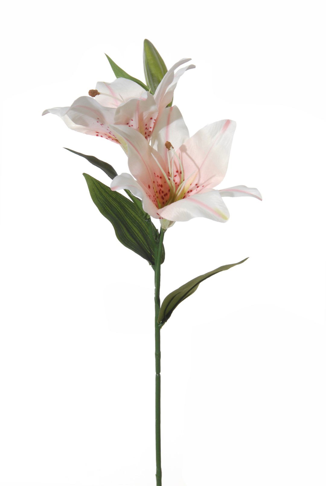 https://cdn.warentuin.nl/media/catalog/product/S/C/SCAN5414088278155_louis_maes_kunstbloem_lelie_l66cm_licht_roze_kunstbloem_louis_0389.jpg