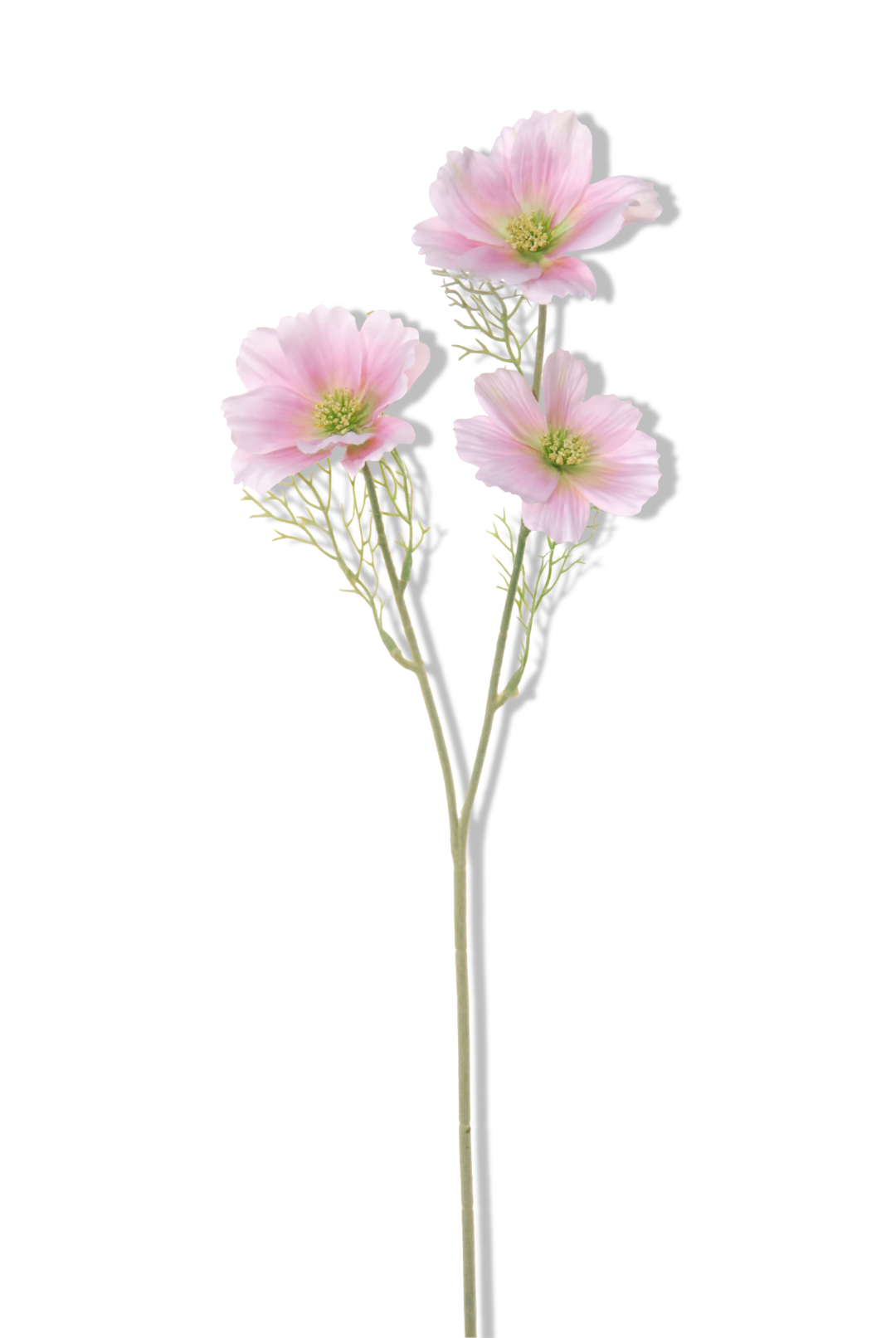 https://cdn.warentuin.nl/media/catalog/product/S/C/SCAN5414088317700_01_louis_maes_cosmos_l65cm_roze_kunstbloem_35d3.png