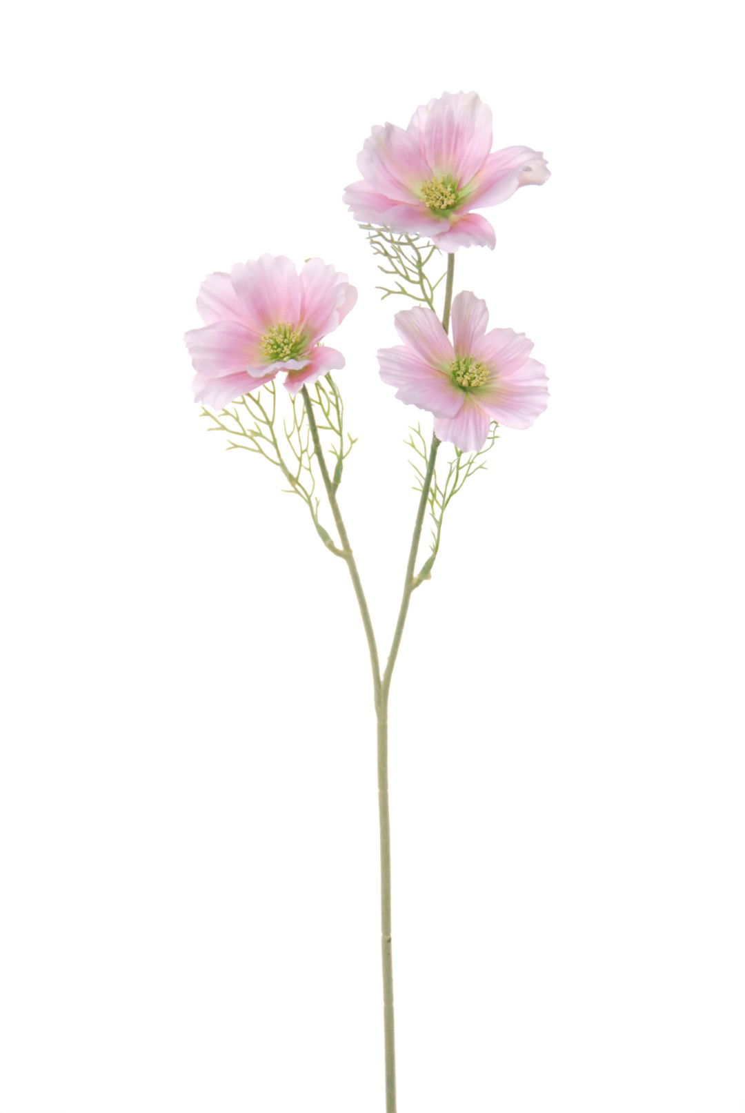 https://cdn.warentuin.nl/media/catalog/product/S/C/SCAN5414088317700_louis_maes_kunstbloem_cosmos_l65cm_roze_kunstbloem_louis_maes_373c.jpg