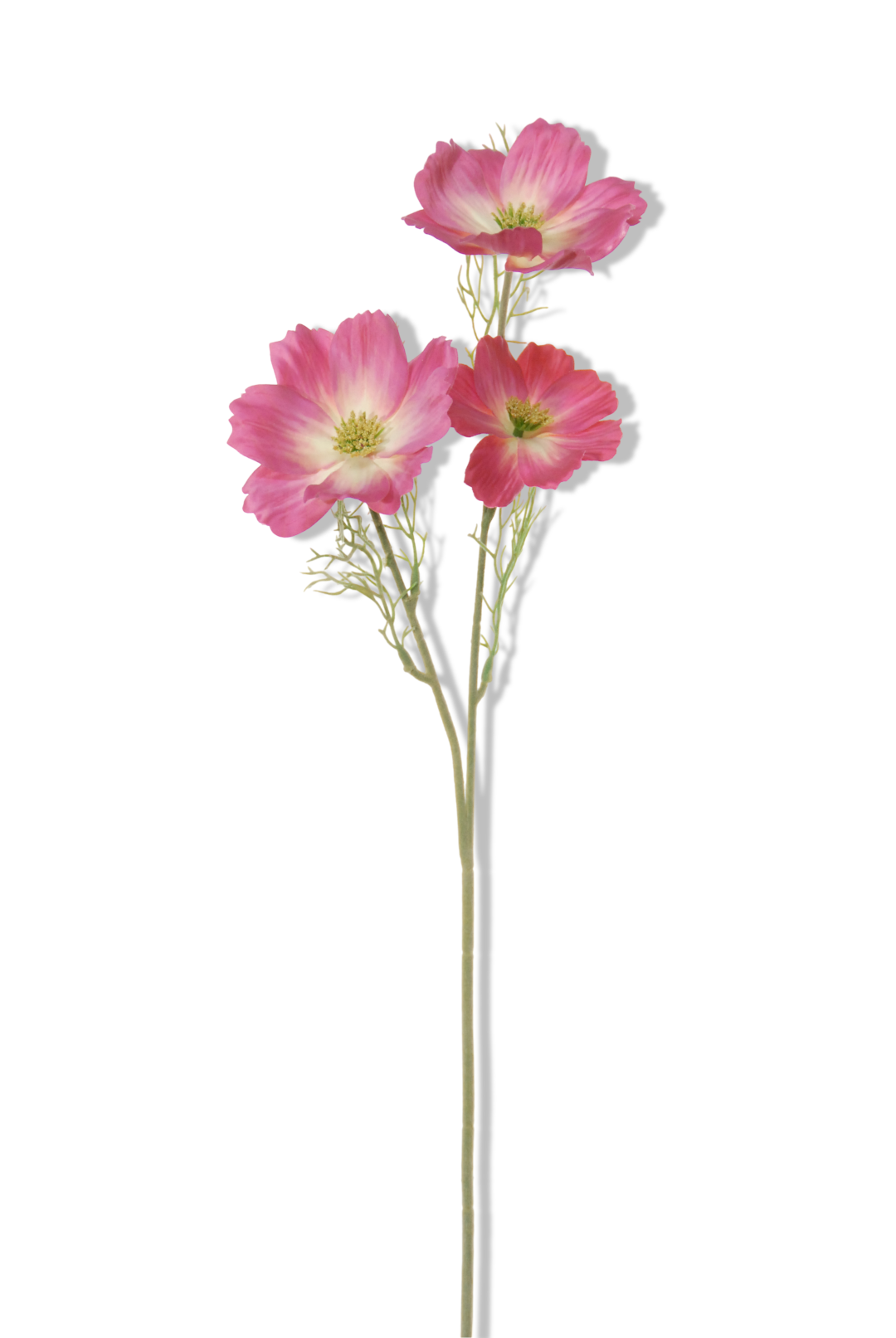 https://cdn.warentuin.nl/media/catalog/product/S/C/SCAN5414088317717_01_louis_maes_cosmos_l65cm_cerise_kunstbloem_3e9a.png