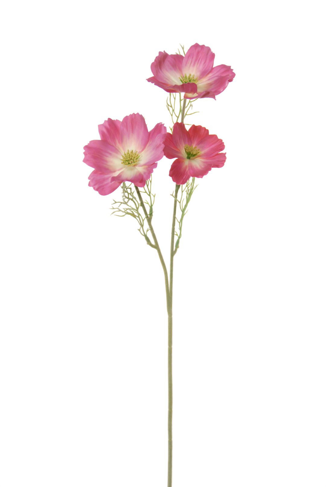https://cdn.warentuin.nl/media/catalog/product/S/C/SCAN5414088317717_louis_maes_kunstbloem_cosmos_l65cm_cerise_kunstbloem_louis_ma_1db3.jpg