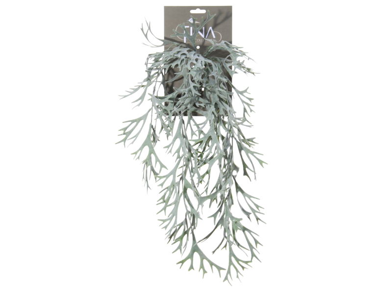 https://cdn.warentuin.nl/media/catalog/product/S/C/SCAN5414088320236_louis_maes_zijde_nepbloem_platycerium_hanger_l60_cm_grijs_gro_9ed3.jpg