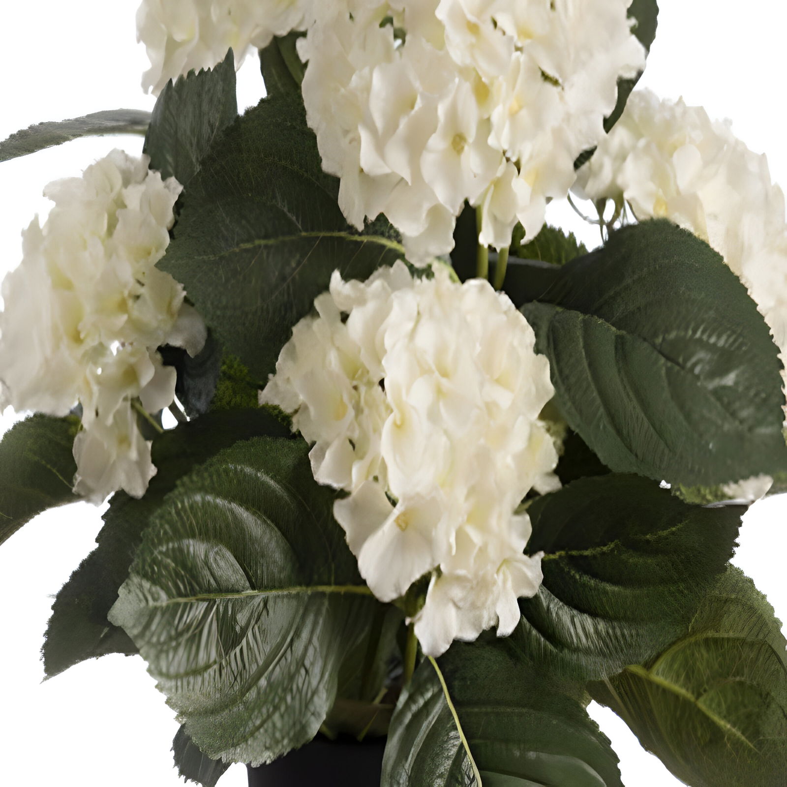 https://cdn.warentuin.nl/media/catalog/product/S/C/SCAN5414088327358_01_louis_maes_zijde_nepbloem_hortensia_h44_cm_p_wit_zijde_nep_487d.jpg