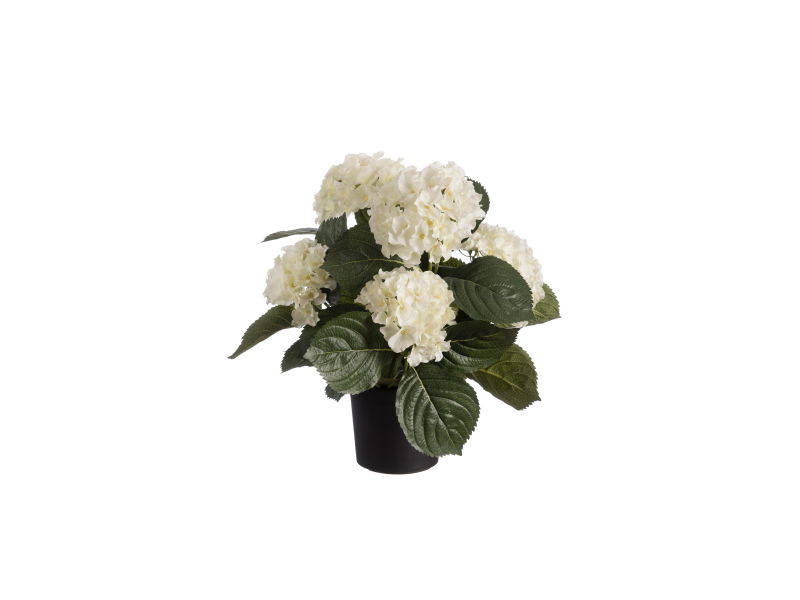 https://cdn.warentuin.nl/media/catalog/product/S/C/SCAN5414088327358_louis_maes_zijde_nepbloem_hortensia_h44_cm_p_wit_zijde_nepblo_671e.jpg