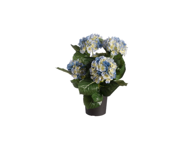 https://cdn.warentuin.nl/media/catalog/product/S/C/SCAN5414088327372_louis_maes_zijde_nepbloem_hortensia_h44_cm_p_blauw_zijde_nepb_ea8e.jpg