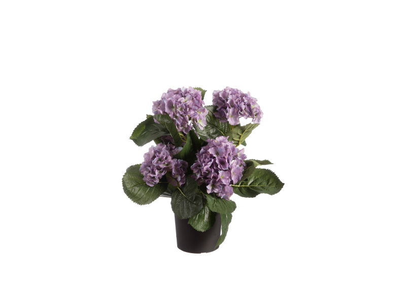 https://cdn.warentuin.nl/media/catalog/product/S/C/SCAN5414088327389_louis_maes_zijde_nepbloem_hortensia_h44_cm_p_lila_zijde_nepbl_518b.jpg