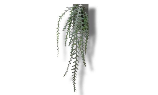 https://cdn.warentuin.nl/media/catalog/product/S/C/SCAN5414088329345_01_cactus_epiphyllum_l90_groen_header_jpg_6e89.jpg