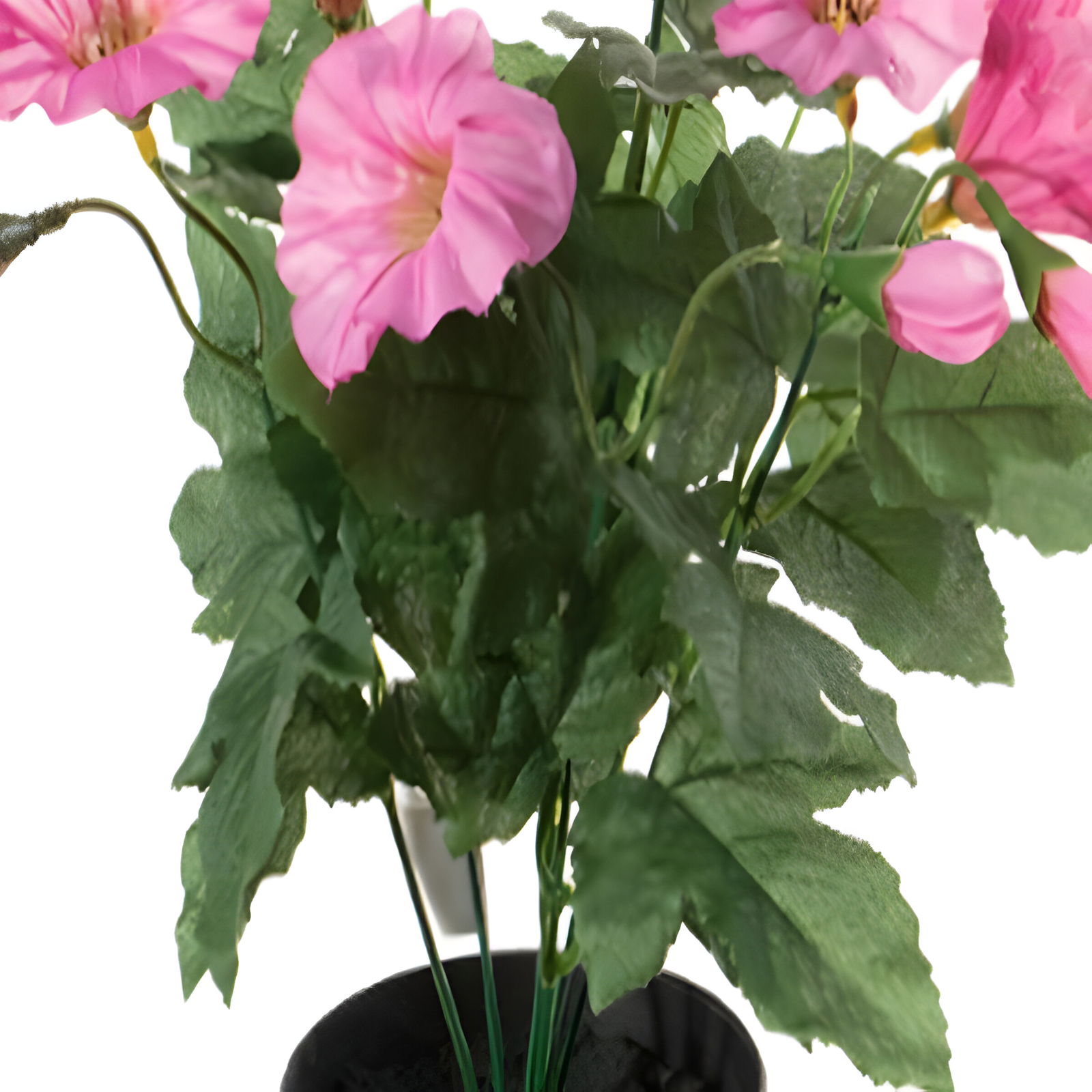 https://cdn.warentuin.nl/media/catalog/product/S/C/SCAN5414088342924_01_louis_maes_zijde_nepbloem_petunia_h28_cm_p_cerise_zijde_ne_38ca.jpg