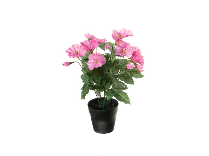 https://cdn.warentuin.nl/media/catalog/product/S/C/SCAN5414088342924_louis_maes_zijde_nepbloem_petunia_h28_cm_p_cerise_zijde_nepbl_b9ec.jpg
