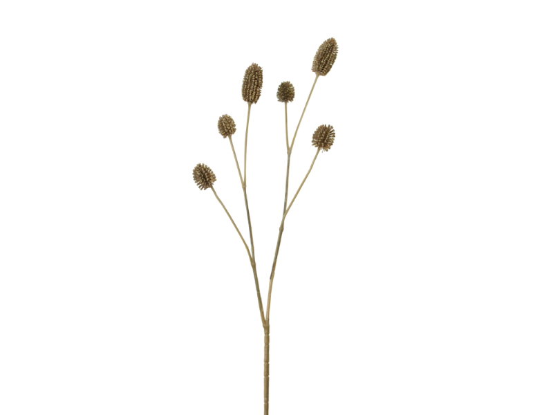 Louis maes Distel mini l54 cm bruin zijde nepbloem  - 