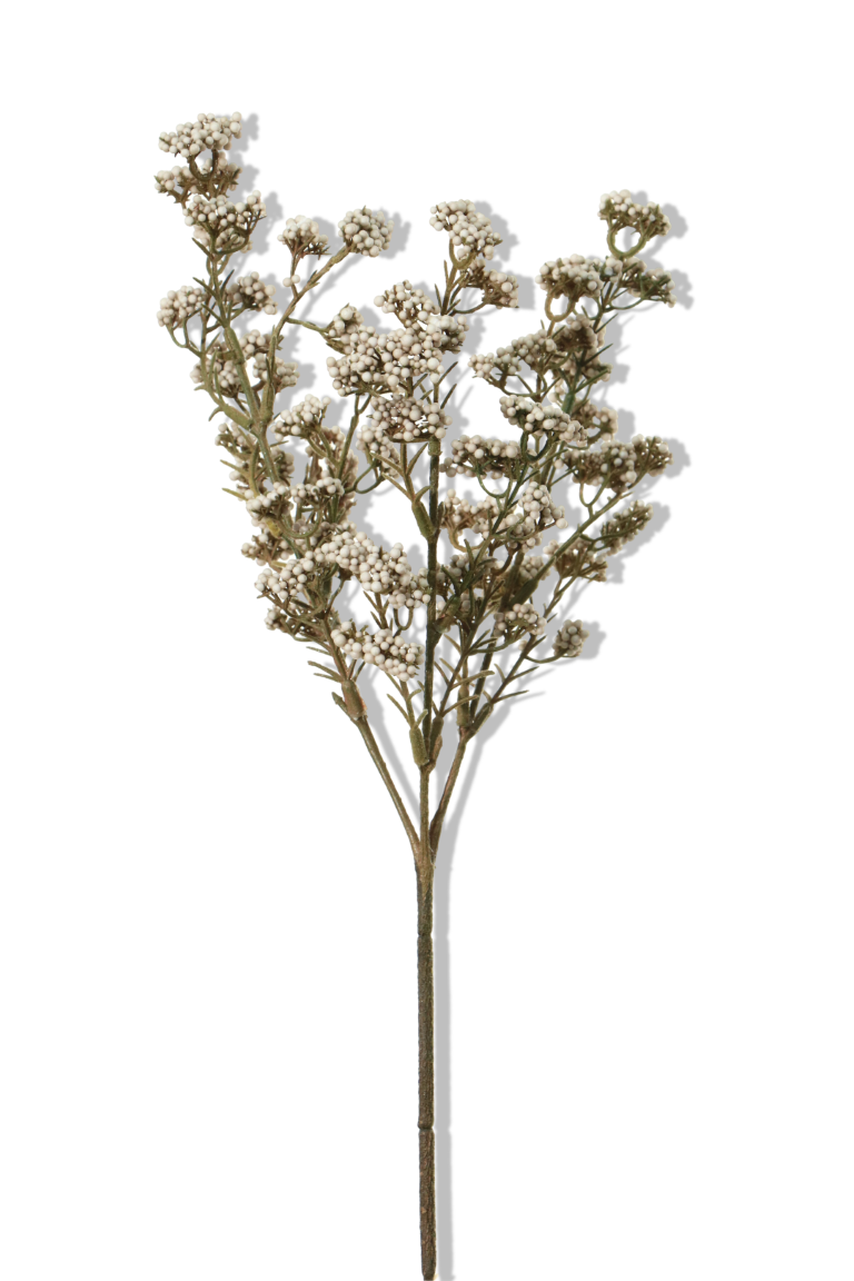 https://cdn.warentuin.nl/media/catalog/product/S/C/SCAN5414088351261_01_louis_maes_bessen_mini_l40cm_creme_kunstbloem_2103.png