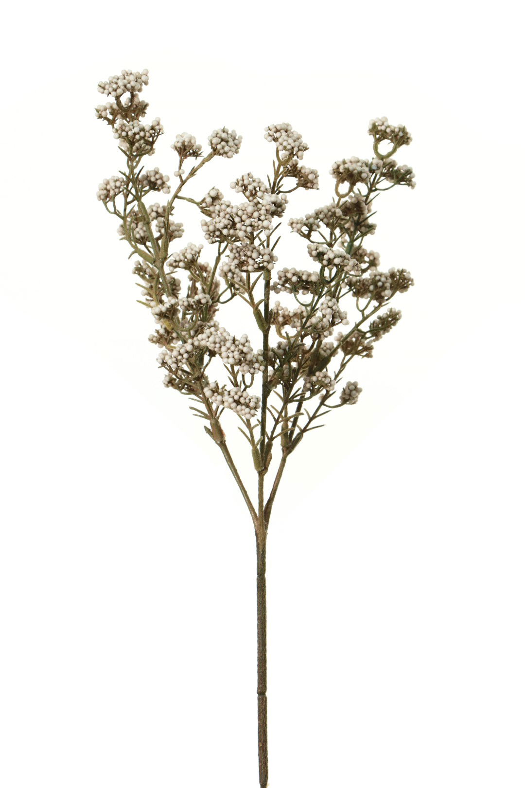 https://cdn.warentuin.nl/media/catalog/product/S/C/SCAN5414088351261_louis_maes_kunstbloem_bessen_mini_l40cm_creme_kunstbloem_loui_f433.jpg