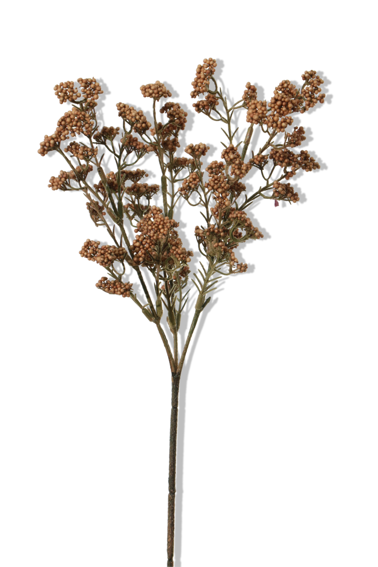 https://cdn.warentuin.nl/media/catalog/product/S/C/SCAN5414088351278_01_louis_maes_bessen_mini_l40cm_oranje_kunstbloem_2404.png