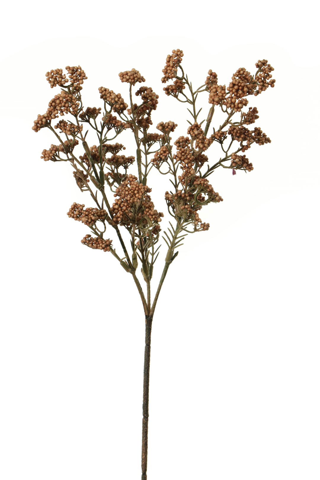 https://cdn.warentuin.nl/media/catalog/product/S/C/SCAN5414088351278_louis_maes_kunstbloem_bessen_mini_l40cm_oranje_kunstbloem_lou_f6f0.jpg