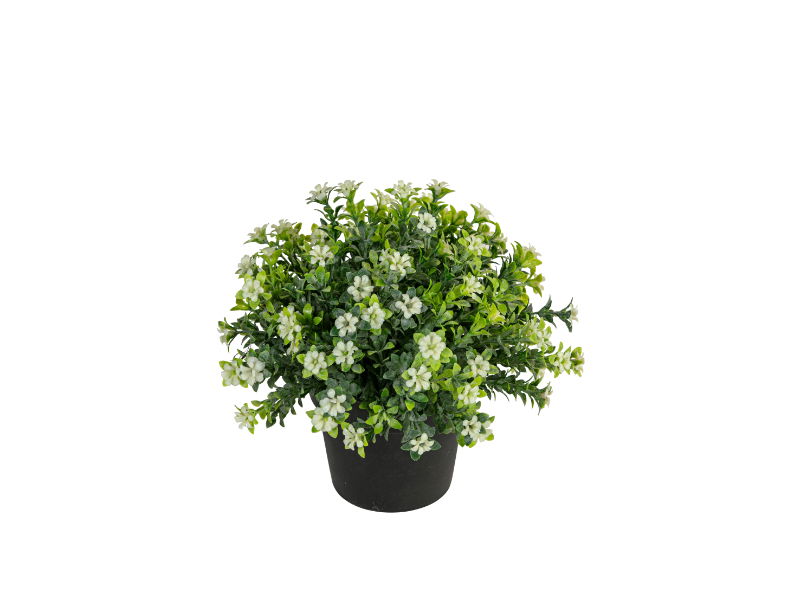 https://cdn.warentuin.nl/media/catalog/product/S/C/SCAN5414088374468_louis_maes_zijde_nepbloem_bloesem_h17_cm_p_wit_zijde_nepbloem_1230.jpg