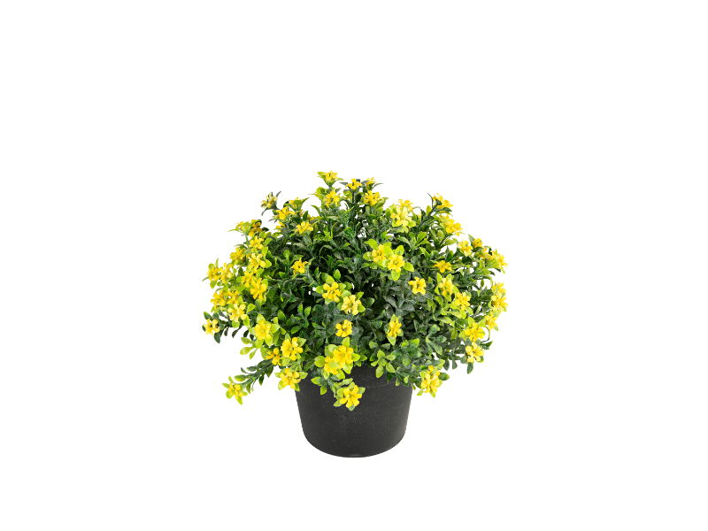 https://cdn.warentuin.nl/media/catalog/product/S/C/SCAN5414088374482_louis_maes_zijde_nepbloem_bloesem_h17_cm_p_geel_zijde_nepbloe_8c44.jpg
