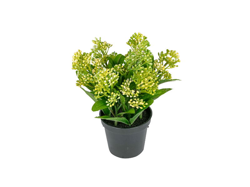 https://cdn.warentuin.nl/media/catalog/product/S/C/SCAN5414088374765_louis_maes_zijde_nepbloem_skimmia_h16_cm_p_groen_zijde_nepblo_e371.jpg