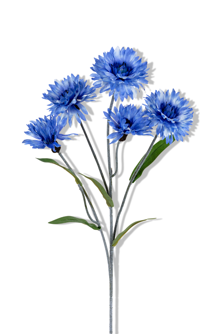 https://cdn.warentuin.nl/media/catalog/product/S/C/SCAN5414088375243_01_louis_maes_korenbloem_l60cm_blauw_kunstbloem_4c0e.png