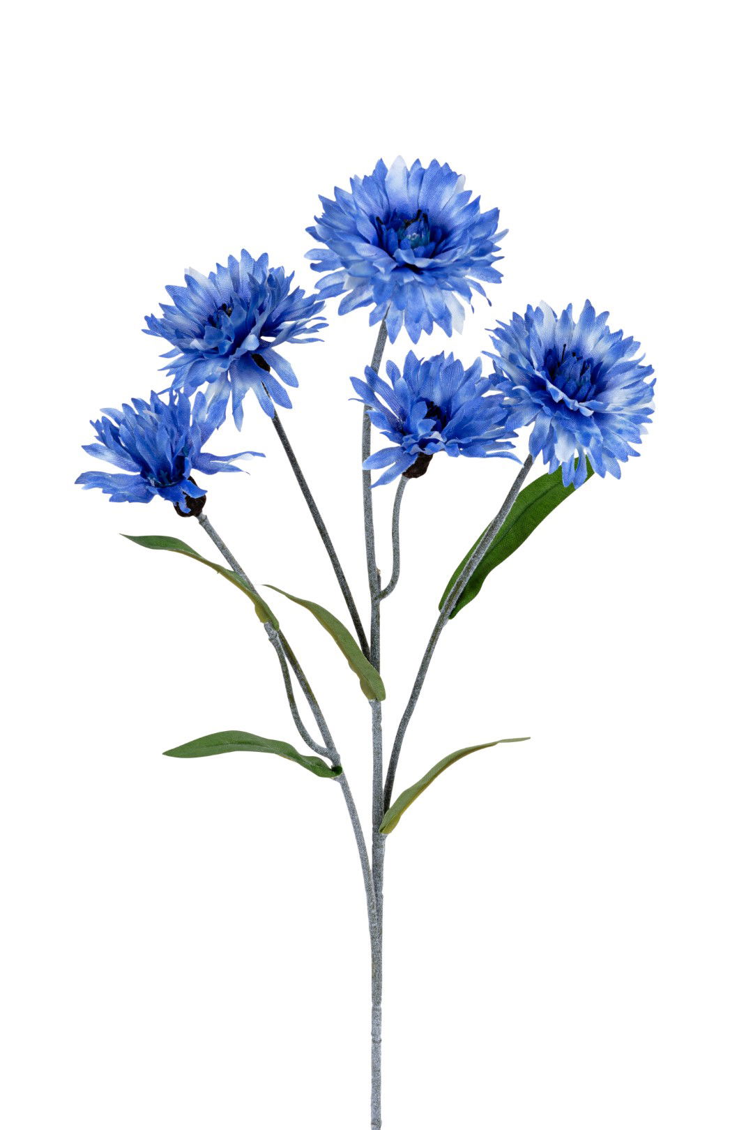 https://cdn.warentuin.nl/media/catalog/product/S/C/SCAN5414088375243_louis_maes_kunstbloem_korenbloem_l60cm_blauw_kunstbloem_louis_6908.jpg