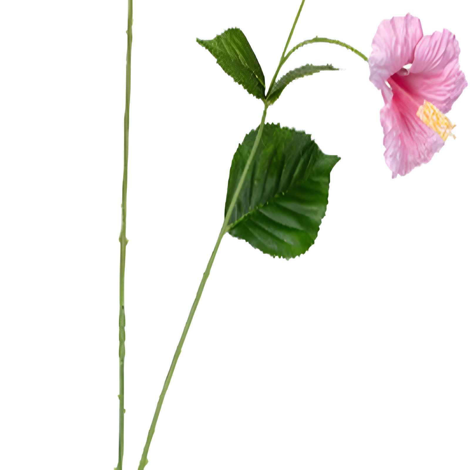 https://cdn.warentuin.nl/media/catalog/product/S/C/SCAN5414088375946_01_louis_maes_zijde_nepbloem_hibiscus_l110_cm_roze_zijde_nepb_94a6.jpg