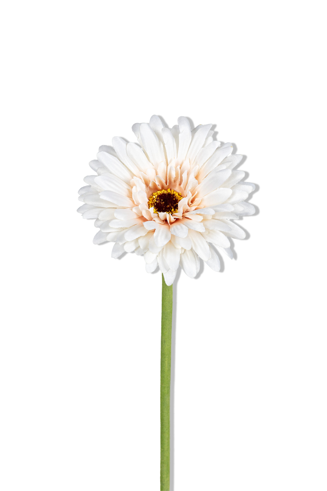 https://cdn.warentuin.nl/media/catalog/product/S/C/SCAN5414088383569_01_louis_maes_gerbera_l58cm_beige_kunstbloem_530c.png