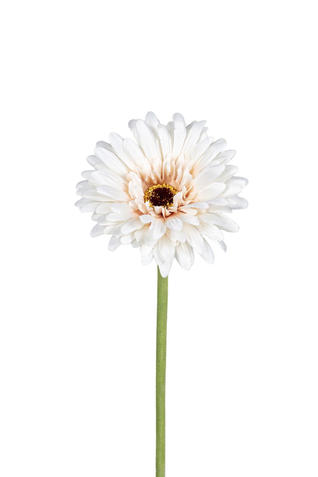 https://cdn.warentuin.nl/media/catalog/product/S/C/SCAN5414088383569_louis_maes_kunstbloem_gerbera_l58cm_beige_kunstbloem_louis_ma_12a7.jpg