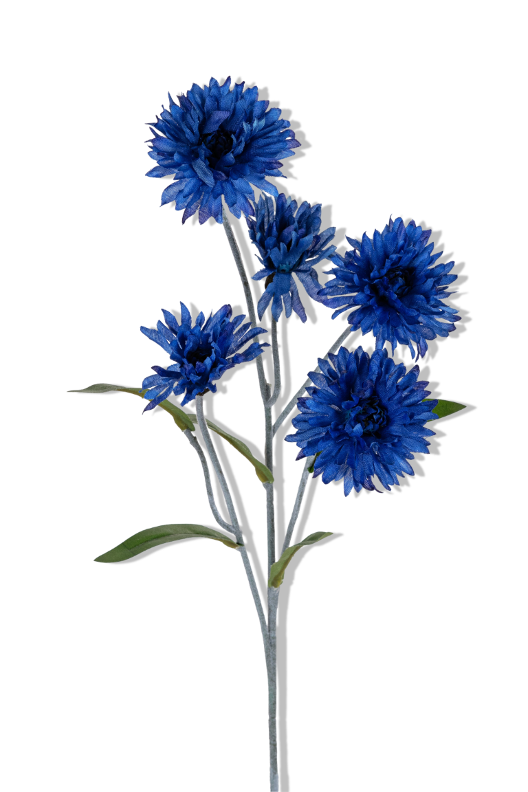 https://cdn.warentuin.nl/media/catalog/product/S/C/SCAN5414088389165_01_louis_maes_korenbloem_l60cm_dk_blauw_kunstbloem_4735.png