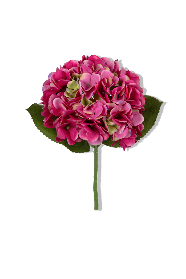 https://cdn.warentuin.nl/media/catalog/product/S/C/SCAN5414088389349_01_louis_maes_hortensia_l45cm_cerise_kunstbloem_7cb3.png
