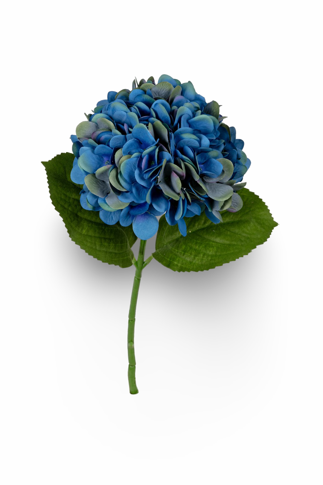 https://cdn.warentuin.nl/media/catalog/product/S/C/SCAN5414088389356_01_a370.png