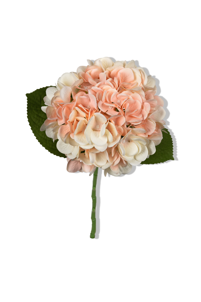 https://cdn.warentuin.nl/media/catalog/product/S/C/SCAN5414088389387_01_louis_maes_hortensia_l45cm_zalm_kunstbloem_9b0c.png